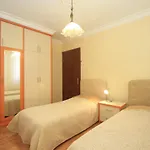 Okaliptus * Akyaka (Mugla)