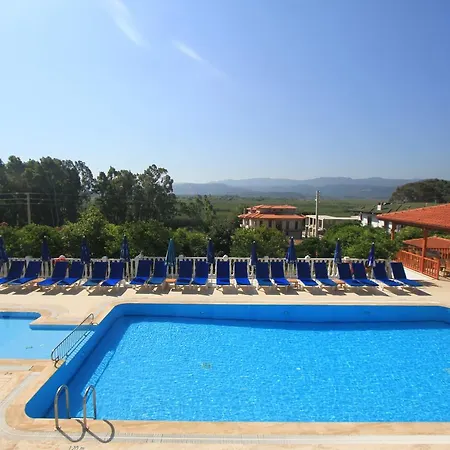 Okaliptus * Akyaka (Mugla)