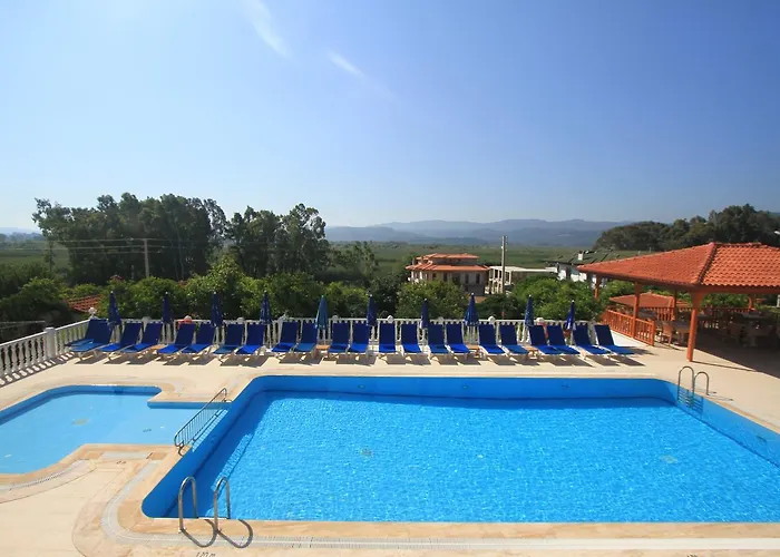 Okaliptus * Akyaka (Mugla)